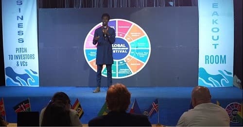 Business Pitch to Investors & VCs